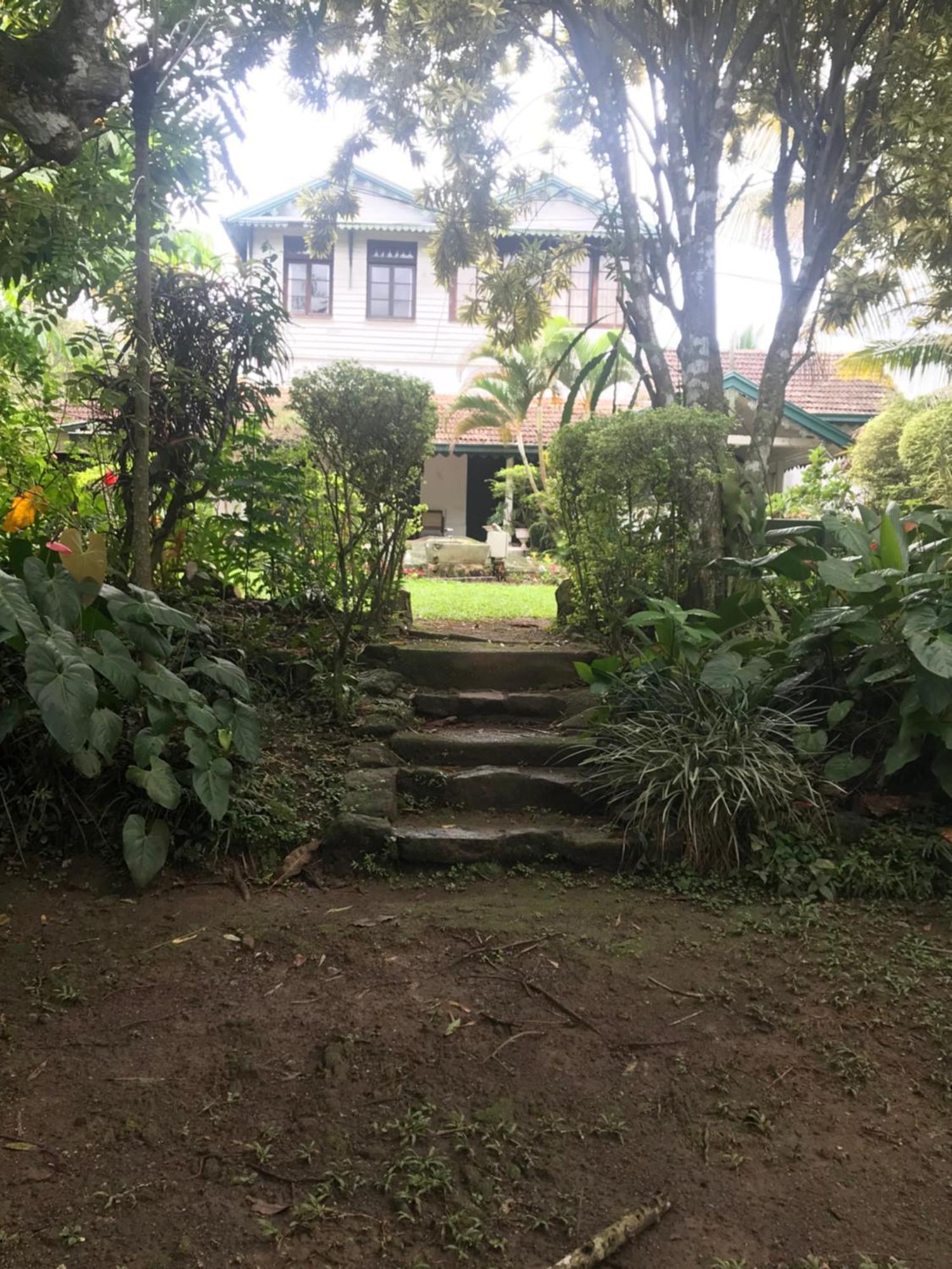 Wattarantanne Homestay Kandy Extérieur photo