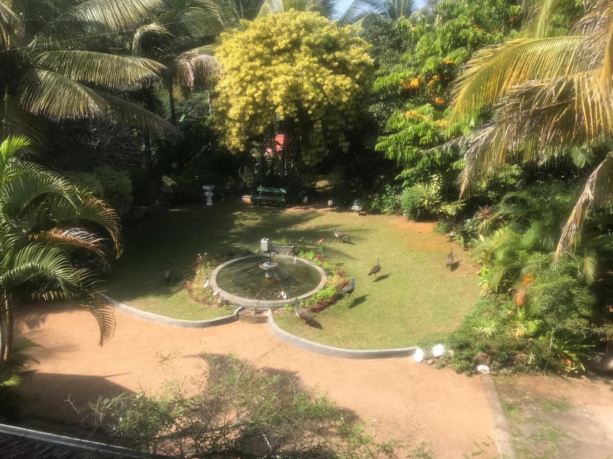 Wattarantanne Homestay Kandy Extérieur photo