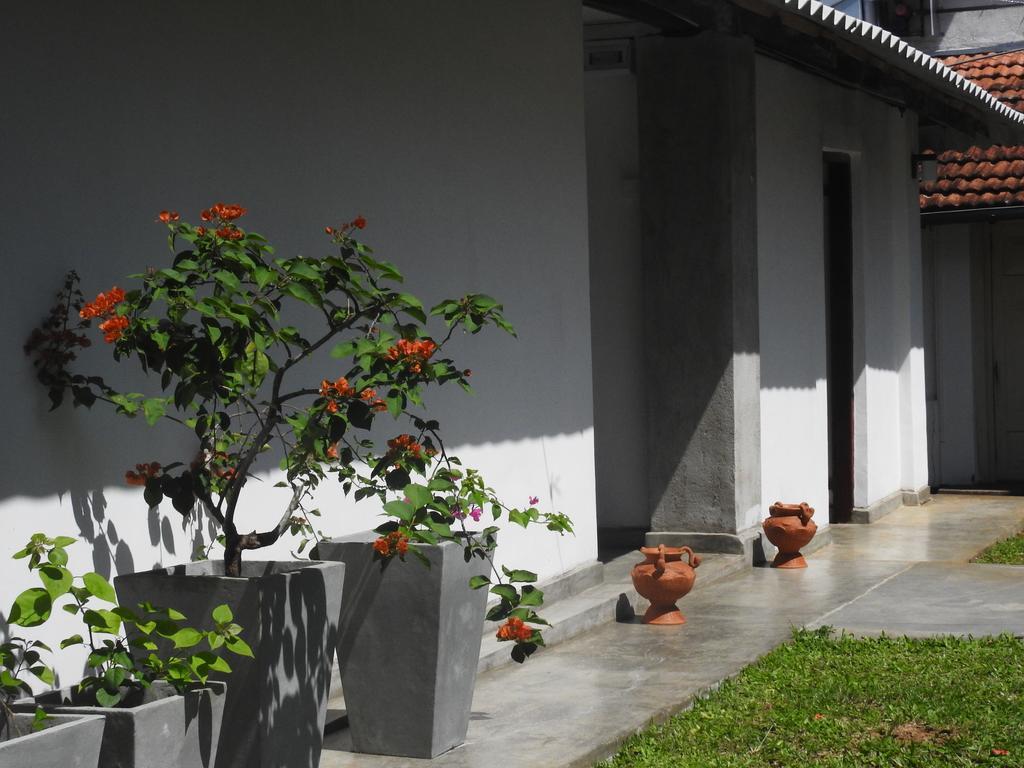 Wattarantanne Homestay Kandy Extérieur photo